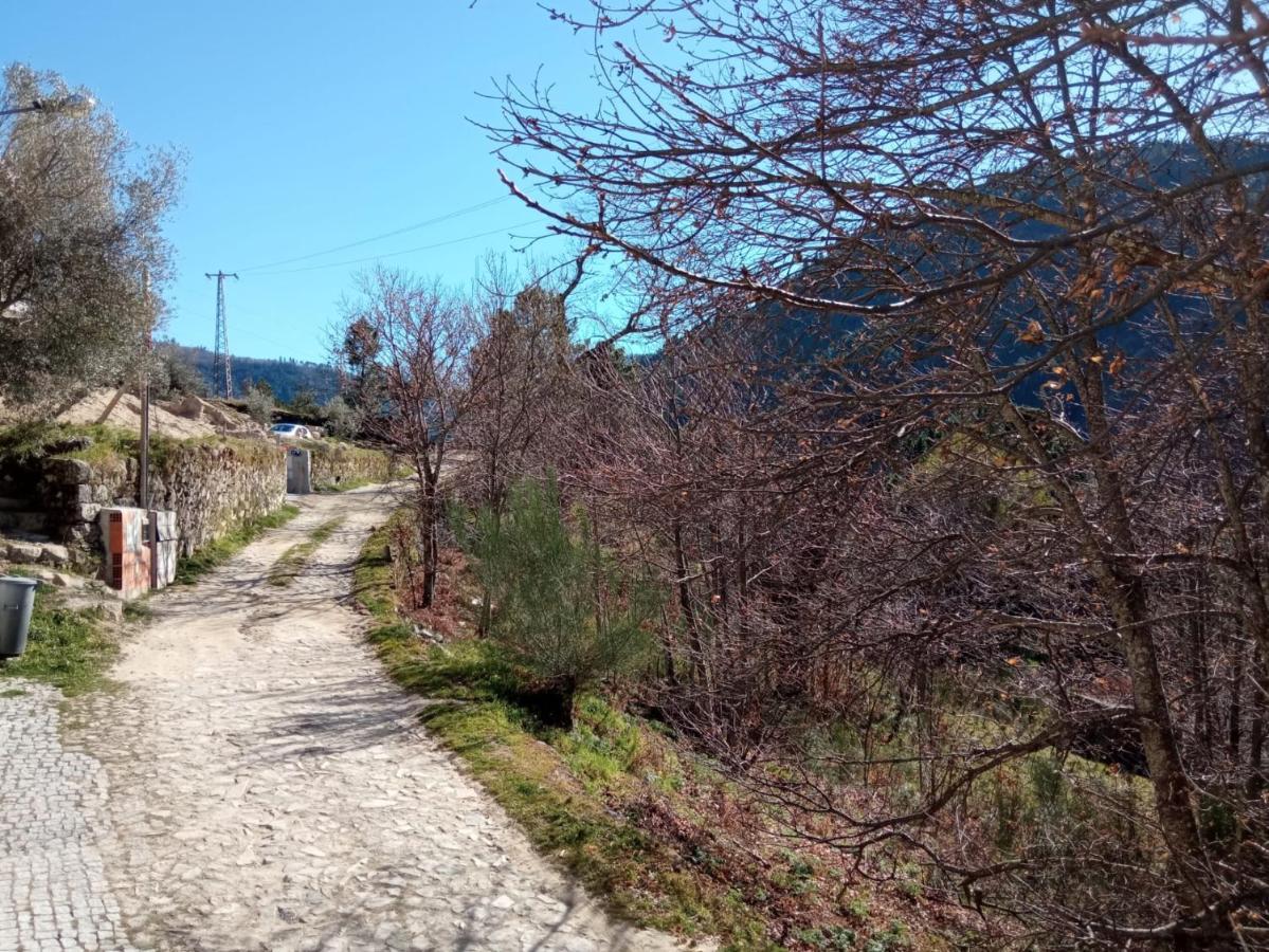 Casa Das Oliveiras - Manteigas Buitenkant foto