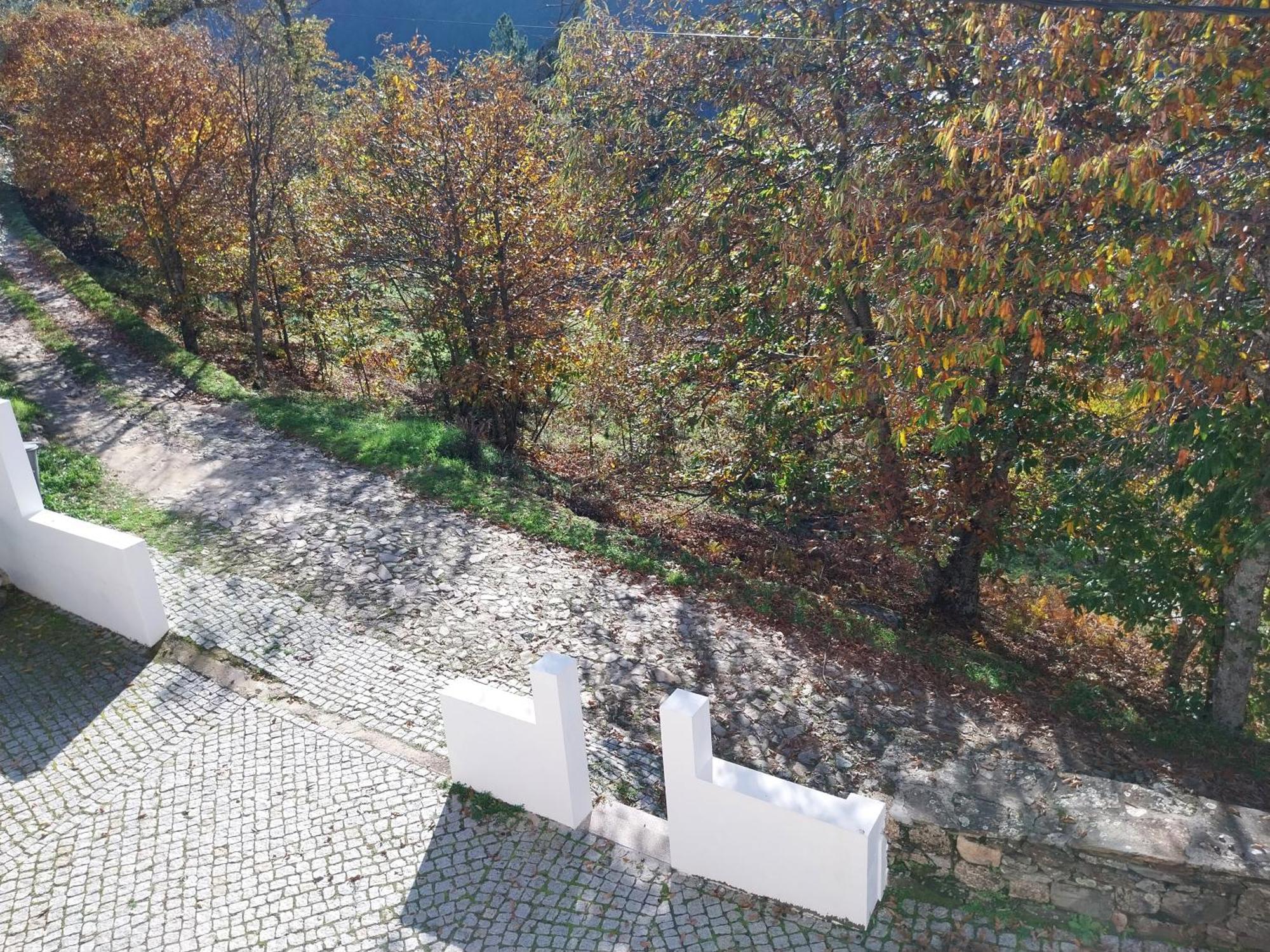 Casa Das Oliveiras - Manteigas Buitenkant foto