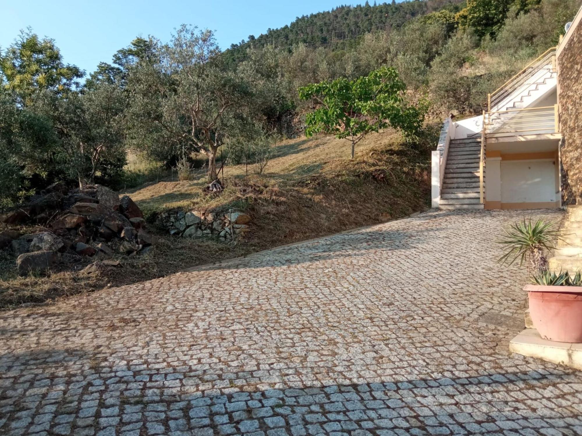 Casa Das Oliveiras - Manteigas Buitenkant foto